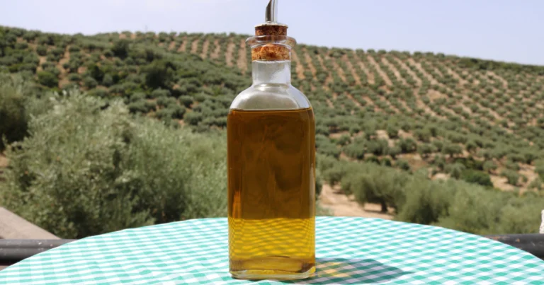 moroccan olive oil​