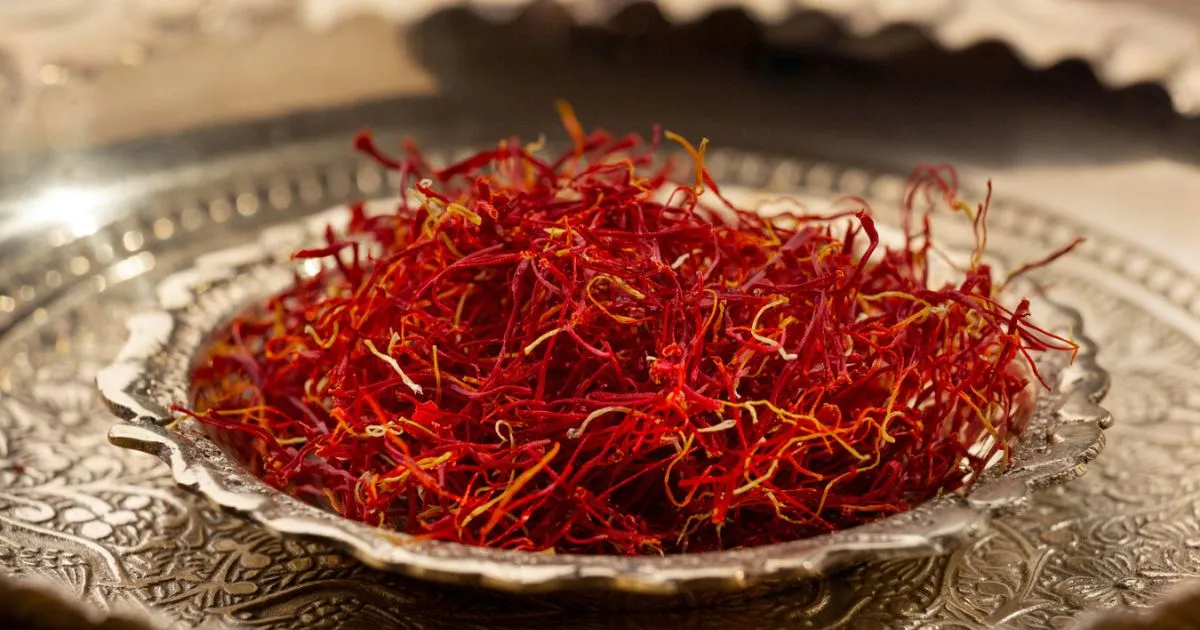 Moroccan Saffron